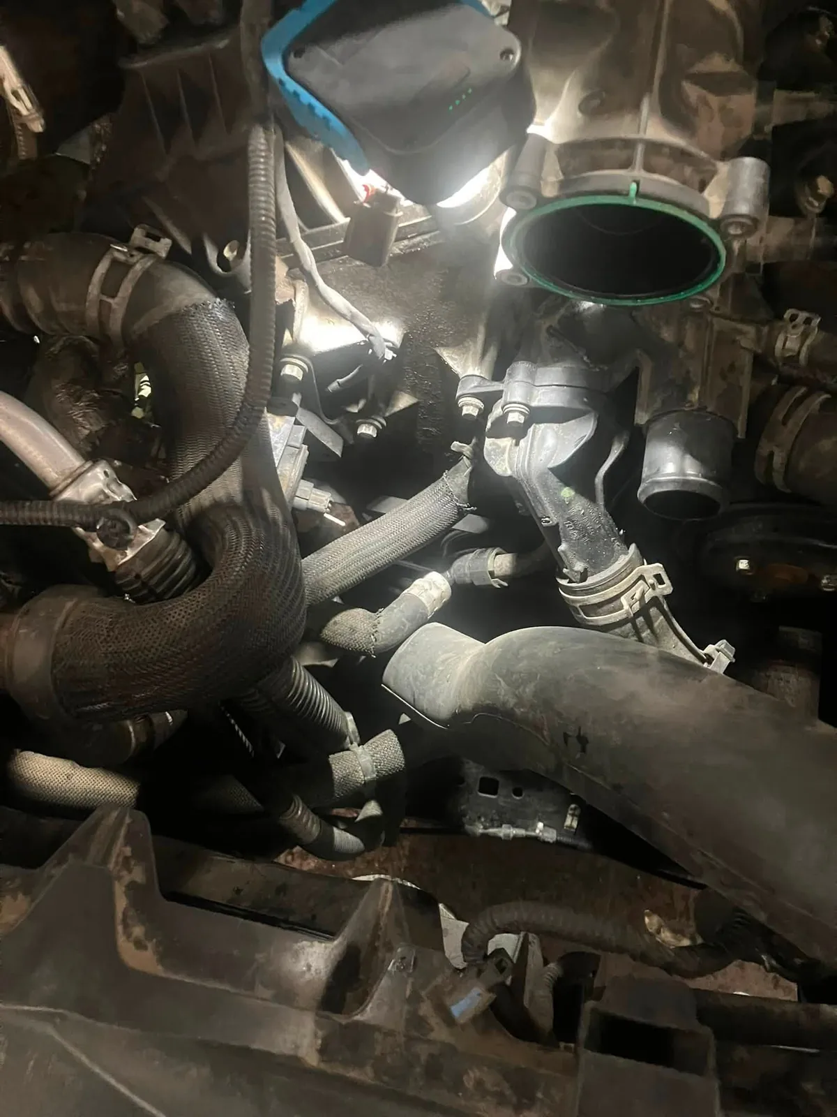Under-hood inspection — radiator and hose routing.