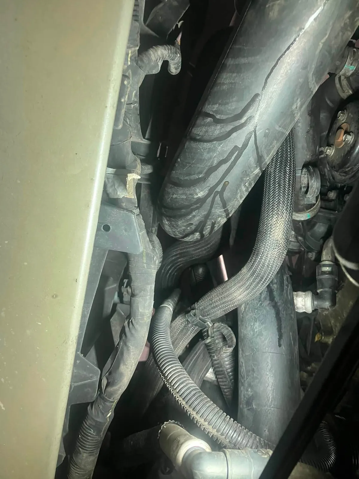 Repair documentation — Daniel's reference shots.